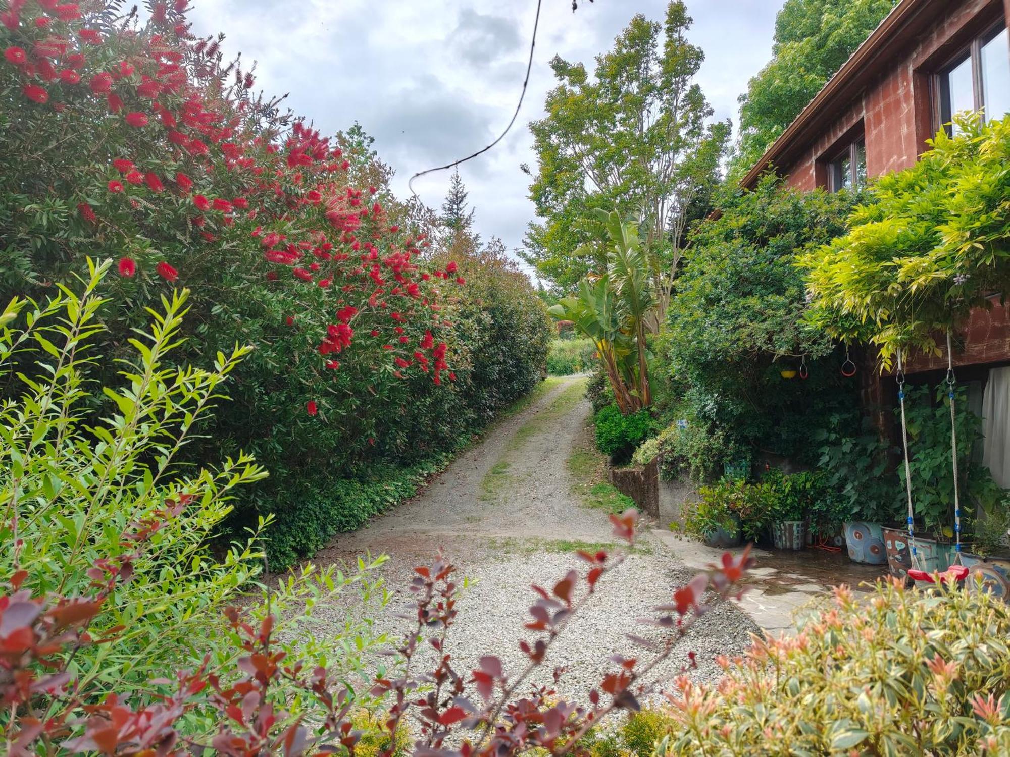 Apartamentos Rosa Jove Cabañas Eksteriør billede